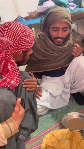 Unlocking TikTok Creator Search Insights