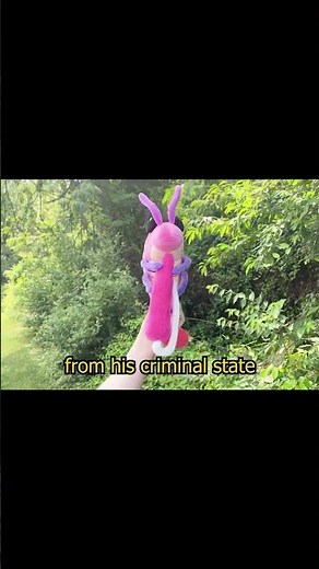 the space shrimp is real #shrimp #animation #music #musicvideo