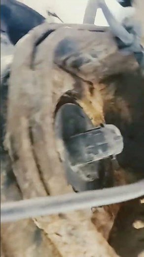 abs sensor location 2002 toyota sienna rear brake