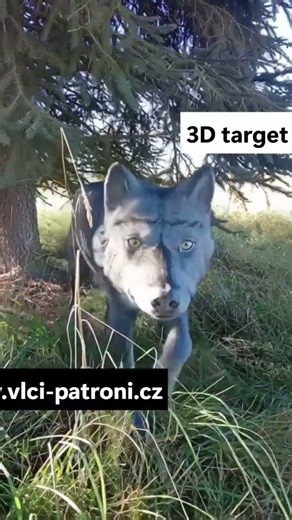 3D terč VLK 🐺 Realistická lukostřelba | Erenhill Archery
