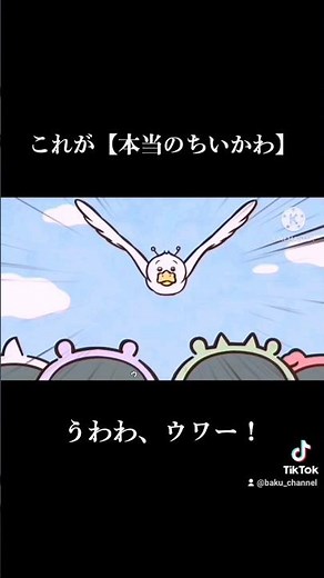 これが【本当のちいかわ】うわわ、ウワー！【パジャマパーティーズ】歌詞付き #ちいかわ #ナガノ