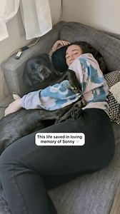 56K views · 3K reactions | When Erin lost her beloved dog Sonny a few days ago, she knew she had to do something to give back and honor his memory. That’s when she showed up at our Pet Adoption Center in Los Angeles asking to foster a pet in need. Although her heart was completely shattered from losing her baby, she recognized just how many pets in LA needed somewhere to go. Not all heroes wear capes and Erin is living proof of that. -katheryn | Best Friends Animal Society | Facebook