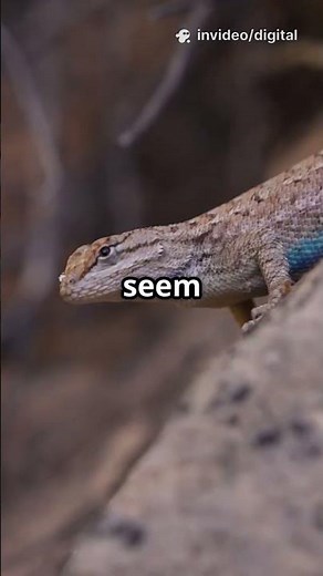 How to Tell If Your Pet Lizard Is Stressed Out 🦎⚠️ | Signs & Care Tips