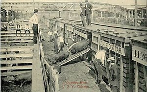 Union Stock Yards - Alchetron, The Free Social Encyclopedia
