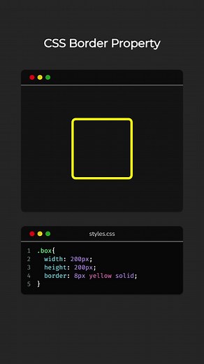CSS Border Property Tutorial #foryou #foryoupage #htmlcss #html #css3 #coding #tutorial #codinglife #programmer