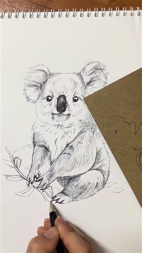 Cute Koala Sketch 🐨 | Daily Animal Drawing #artshorts #animalart