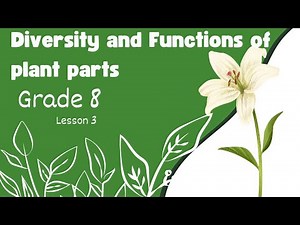 Diversity and Functions of Plant Parts | Grade 8 Science Lesson 3 #Grade8Science #PlantParts
