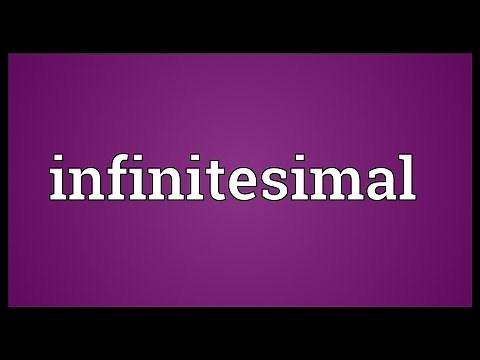 Infinitesimal Meaning