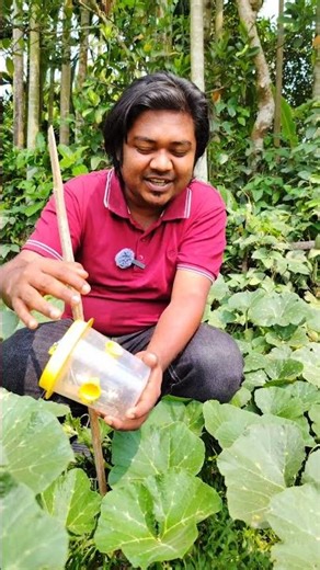 ক্ষেতের পো"কা দ'মনের নতুন পদ্ধতি #কৃষি #agriculture