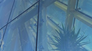 Showcase of a Modern Building with Palm Tree Inside. Glass Curtain Facade Wall. Fasteners Elements of Spider Glass System. Facade Detail. Tilt Up
