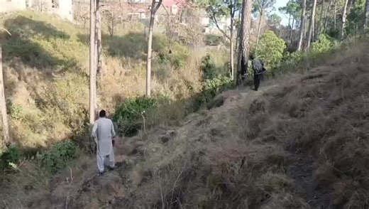 Hunting Group (@huntinggroupsehnsa)’s videos with original sound - Hunting Group