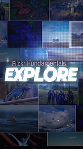 11K views · 43 reactions | Flickr’s Explore page is one of the core elements of the Flickr community. Our latest Flickr Fundamentals gives you some helpful tips to increase your odds of getting your work featured on this heavily trafficked page, as well as shedding some light on the (still somewhat mysterious) ways of the Explore algorithm. #Flickr #FlickrFundamentals #FlickrCommunity #Photography | Flickr | Facebook