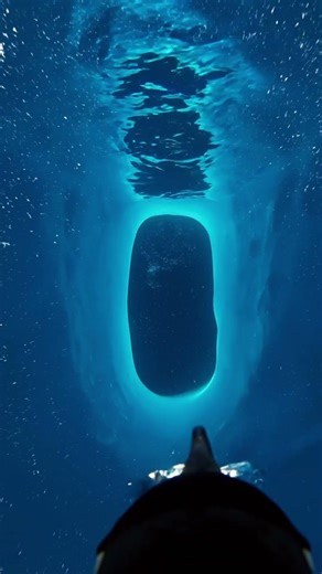 POV: Penguin Discovers a Hidden Ice Civilization Under Antarctica