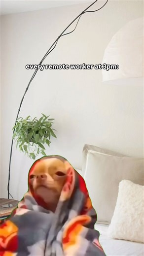 109K views · 330 reactions | Ok but we got all of our work done this morning. | Udemy | Facebook