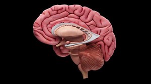 21K views · 126 reactions | Said something racist? Here's how to cope. | Seeker by The Verge | Facebook