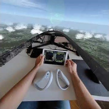 Virtual Desktop Passthrough with Falcon BMS