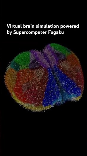 Virtual brain simulation built with open data and powered by Supercomputer Fugaku.