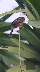 32K views · 535 reactions | Beginning is always Hard調️ #weavers...