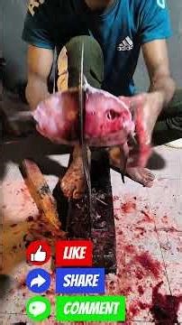 Satisfying big Katla fish cutting skill 😲 #fishcooking #fish #fishcutting #viral
