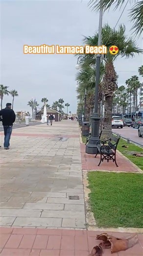 Beautiful Larnaca Beach | Cyprus Tour Guide #cyprus #beach #travel