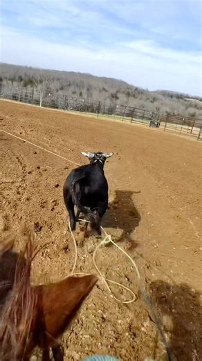 Team Roping #Jesus #classicropes