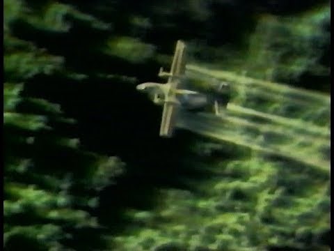 WBBM Channel 2 - Agent Orange: Vietnam's Deadly Fog (Partial Excerpt, 1978)