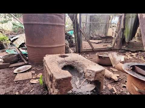 The Puppies are So Active Today! Min Pin Pregnancy Day 41