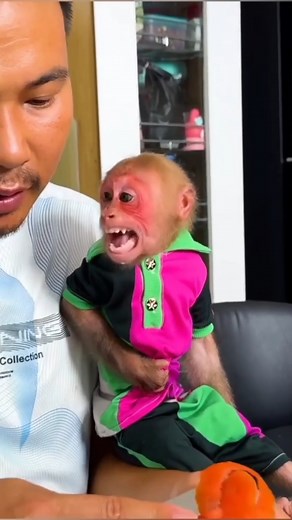 Daddy and the Bibi are talking a lot to each other #cute #animal #babymonkey | Family BiBi