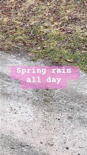 Spring Rain on the Road #relaxing #asmr #rain
