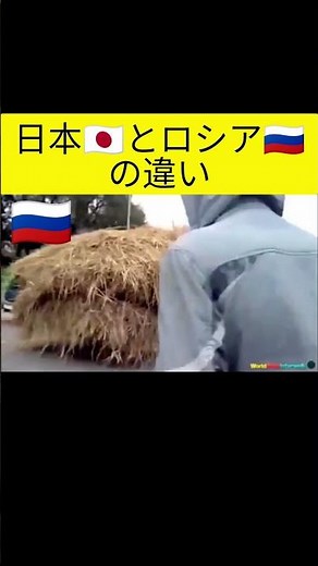 日本とロシアの違い#面白集 #もすかう #おそロシア