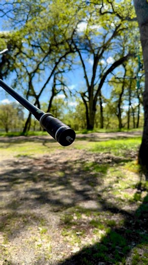 68K views · 1K reactions | Happy Easter!!  Practice is in full swing for outdoor season! #archery #professional #insight #bow #arrow #easter #practice #outdoors Bowtech INC. Black Eagle Arrows GAS Bowstrings TRU Ball / AXCEL Archery AAE Bowmar Archery SIG SAUER | Paige Pearce | Facebook