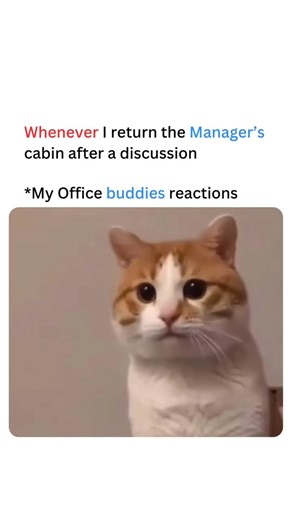 Discussion with Manager #memes #corporatememes #funny #manager