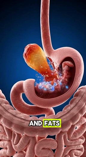 What Happens to Your Body When You Eat Buffalo Wings? | 3D Medical Animation