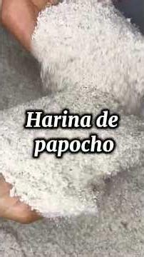 Harina de Plátano CASERA 🍌