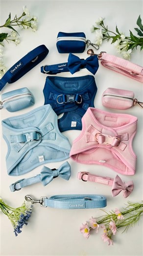 🐾 Our brand-new Step In Harness has officially arrived part of our New Essential Pup Collection— where everyday comfort meets sleek, refined luxury. ✨ Say hello to THREE stunning colours your pup will adore: 💖 Blossom Pink 💙 Navy 🌊 Sea Mist From our Step-In Harness, Collar, and Lead to the Waste Bag Holder and Bowtie, every piece is thoughtfully crafted with style-loving pups (and their humans) in mind. 💫 Made from premium fabric with a subtle crosshatch texture and a beautiful sheen, this 