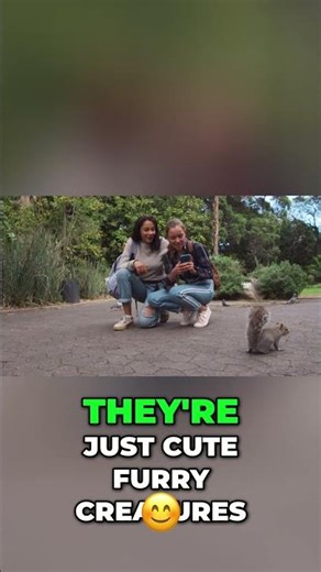 Are Squirrels Pests?