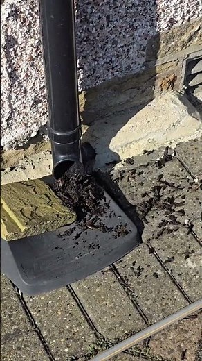 How to Unblock a Gutter Downpipe: Remove Soil & Plant Debris Fast"