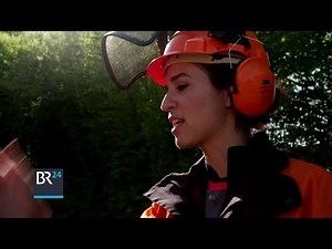 Women at the chainsaw | BR24