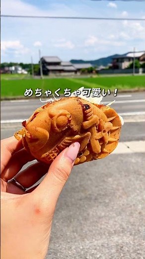野洲で楽しめる移動ゼロの最強ご褒美コースをご紹介します！✨