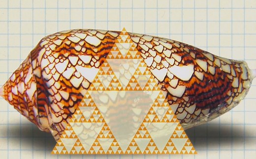 【纪录片】自然界中的数学 上【1080p】【双语特效字幕】【纪录片之家科技控】