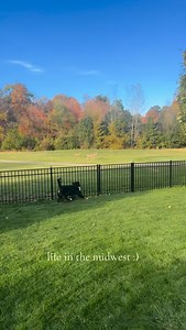 3.9K reactions · 123 shares | I learned that deer poop in my backyard too 浪 #midwest #deer #bernesemountaindog #nashtheberner | Nash.the.berner | Facebook