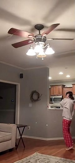 Ceiling fan fail #262