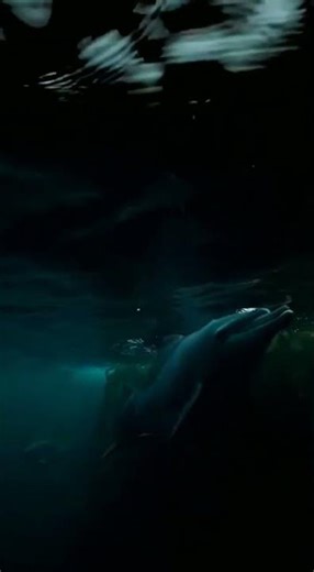 🏜️ The Dry Earth's Secret: Watch What Emerges From the Desert Crack#PrimalEncounter #DesertLife