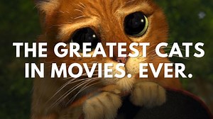 Some of the Greatest Cat Scenes In Movies