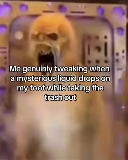 #fyp #meme #tweaking #halloween #scream | Scream