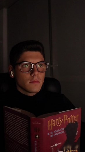 Harry Potter Reading Experience in Cozy Setting