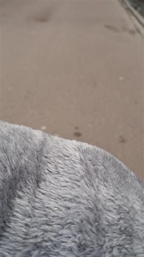 Vidéos de Femke 🎗 (@femke.doll) avec Home sped up full song - .