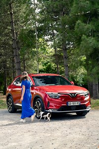 1.5K views · 51 reactions | Have you heard about Pet Mode? You can do a small errand while leaving your pet in perfect conditions.  He too will love your VF 8. #VinFast #VF8 #PetMode | VinFast | Facebook