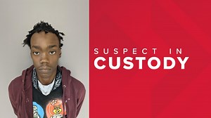 Decatur murder suspect in custody, charged with capital murder, police say