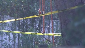 Tree trimmer dies after being pulled into chipper